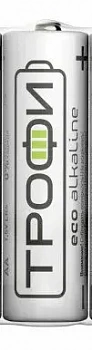 Батарейки ТРОФИ Eco Energy LR06 12шт алкал. /60
